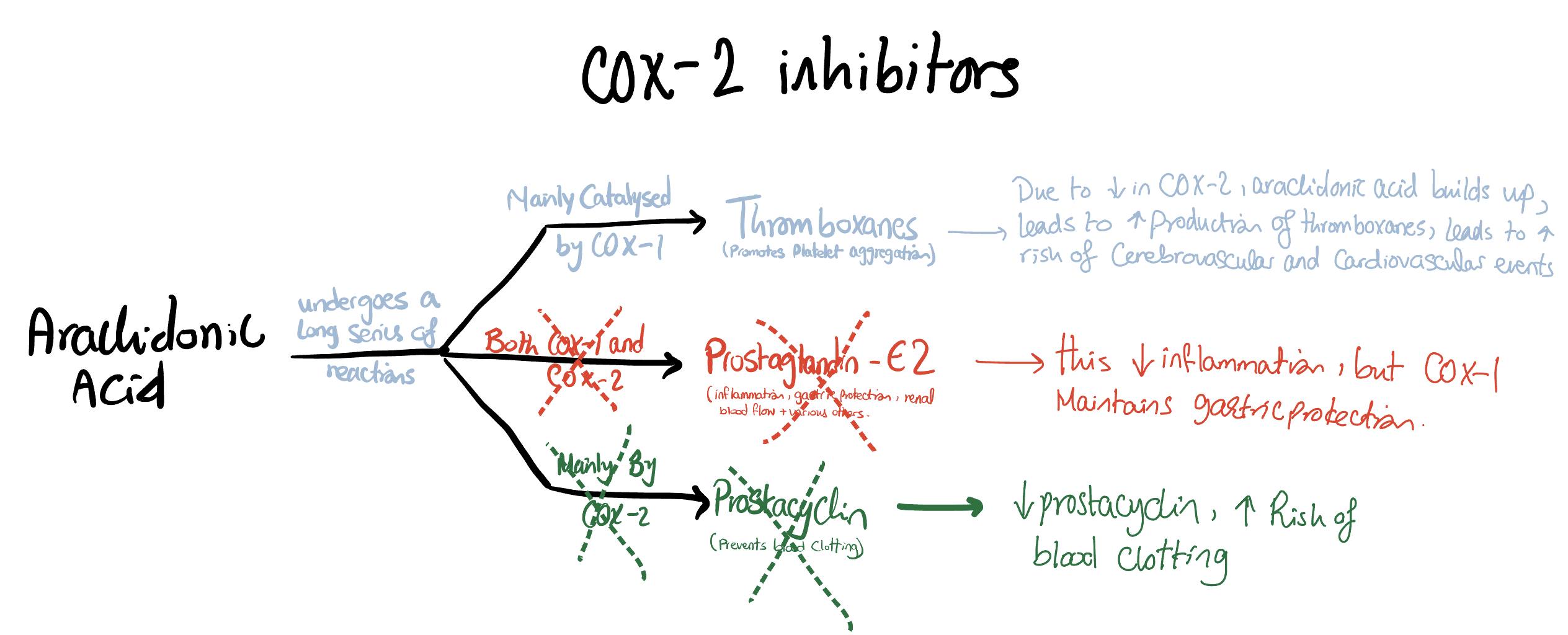 effect of cox 2 inhibitors